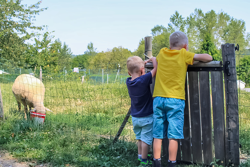 camping avec mini ferme pres de hauterives