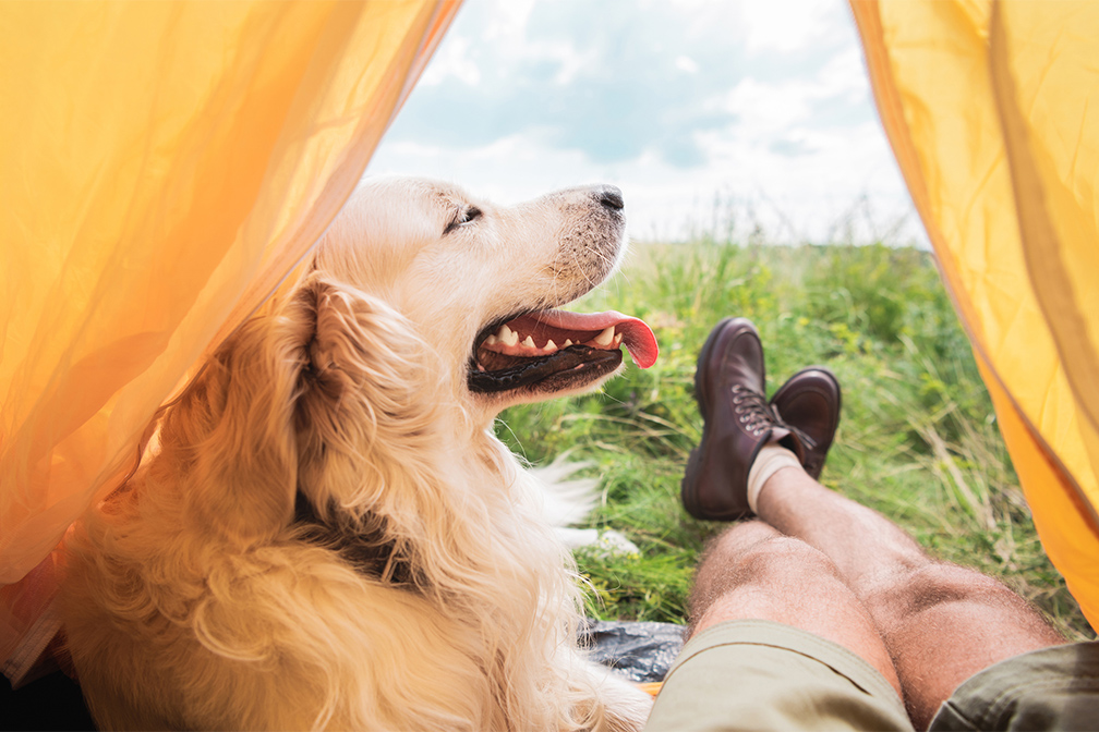 camping services 4 etoiles la drome