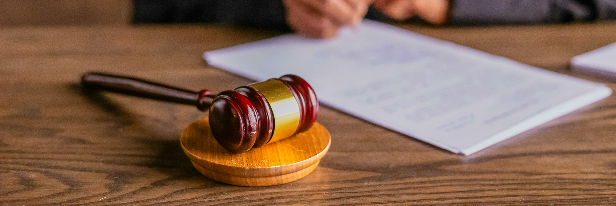 mentions legales camping grand cerf